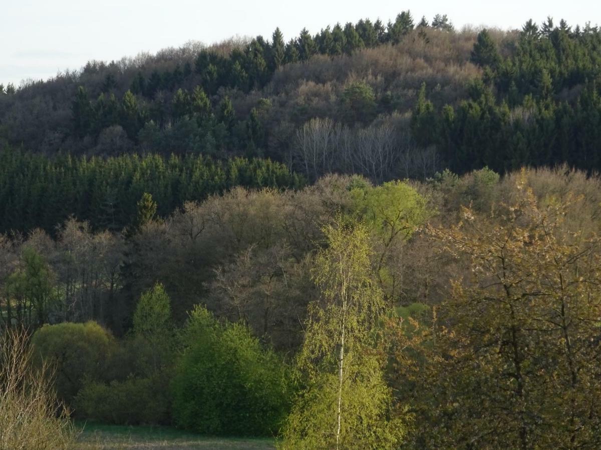 Haus Am Sonnenberg Διαμέρισμα Ulmen Εξωτερικό φωτογραφία